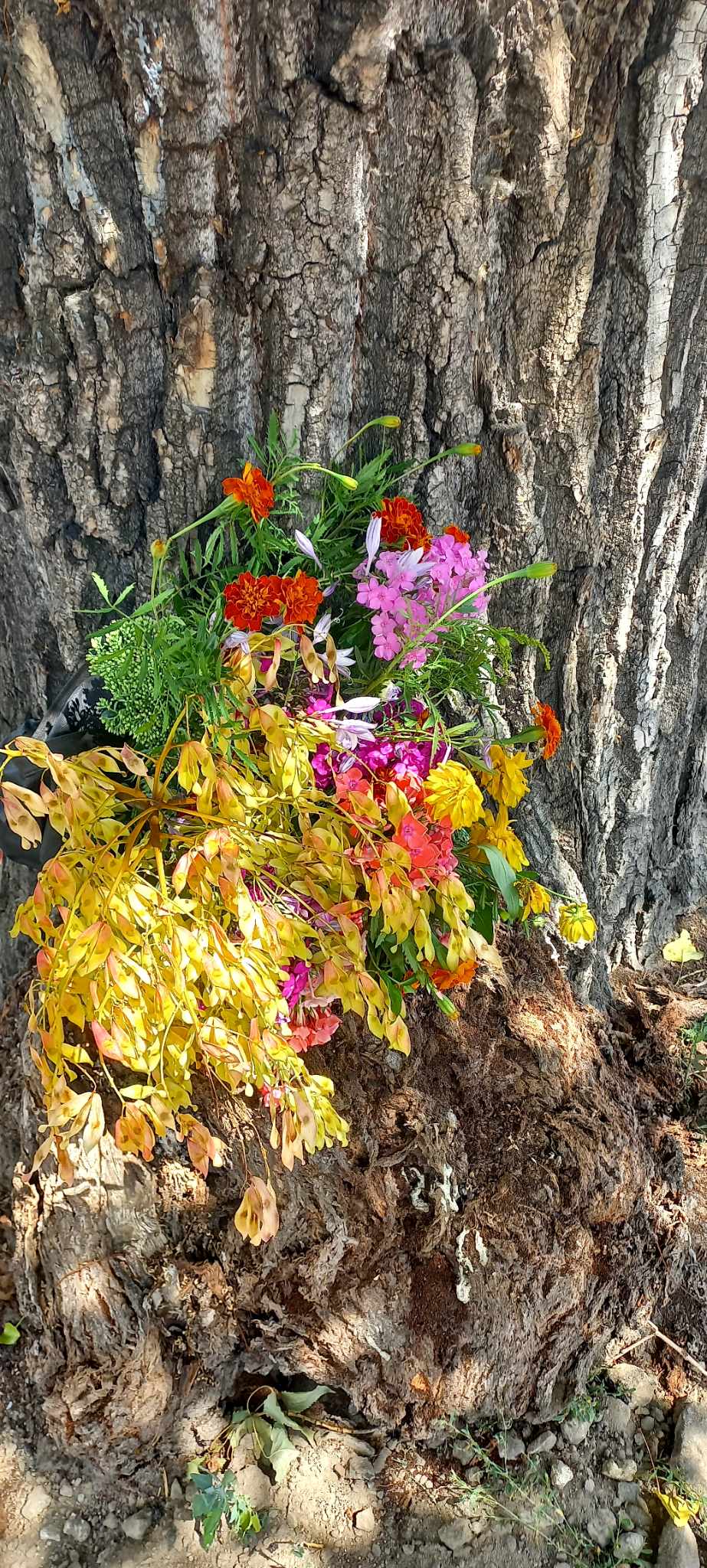 Flowers and tree